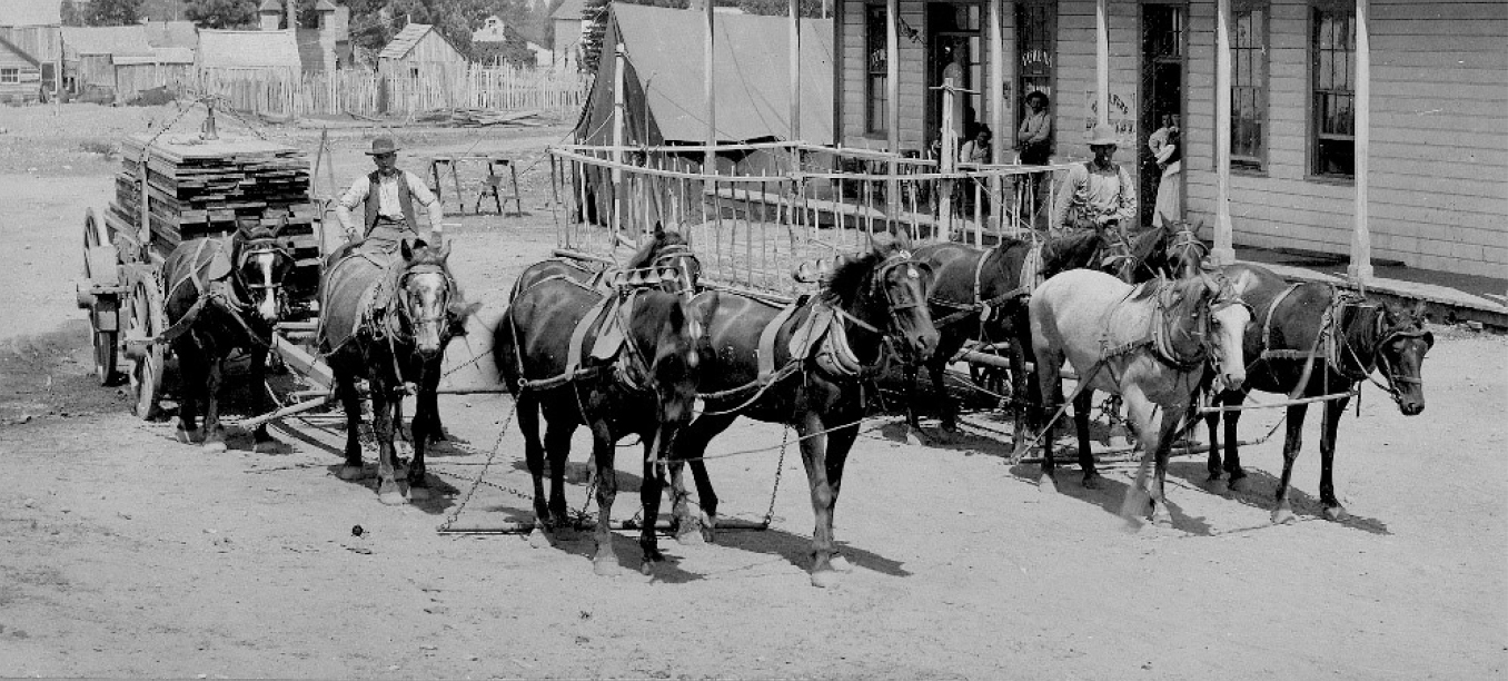 A black-and-white photo of a group of horses carrying carts and riders in an old Western town.