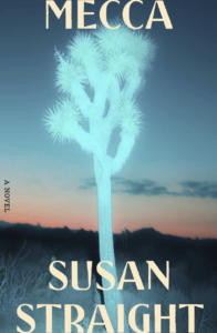 A bright green blue cactus downstages a sunset sky. The text states the book title and author.