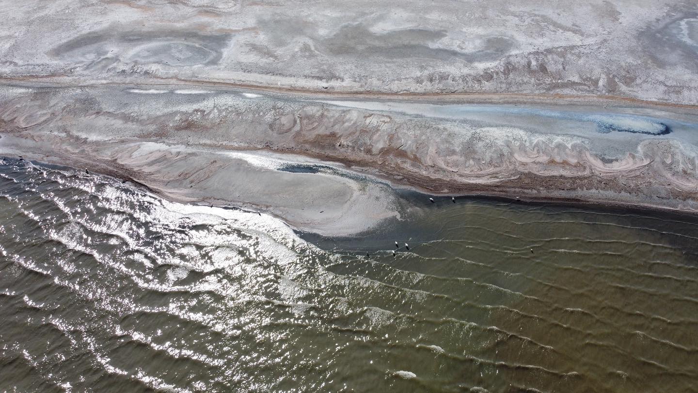 water and desert swirl together