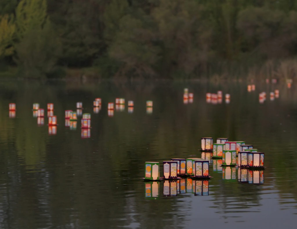 Rows of colorful lanterns float on dark water with trees and bushes in the background.