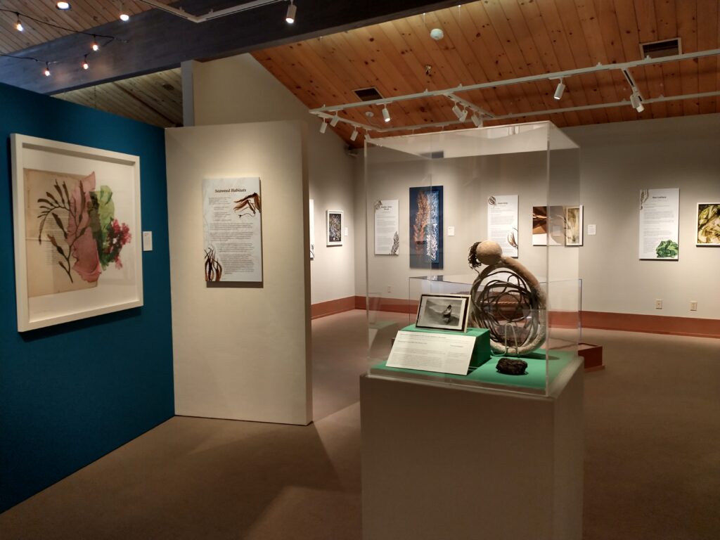 View of a museum exhibit with framed prints on a dark blue wall and object in a case.