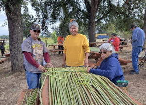 Volunteers working at the Kaweah Oaks Preserve to weave the tule mats for a housing structure