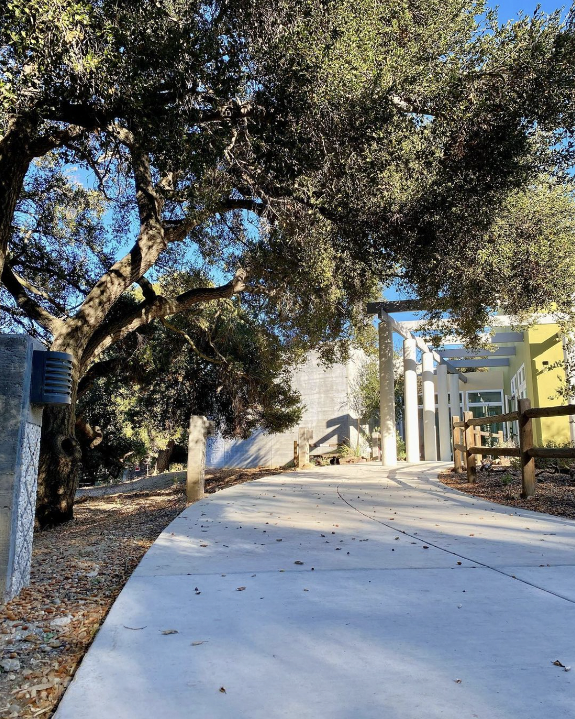 Museum entrance lined with trees