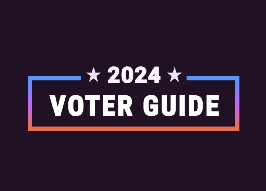 Graphic with text 2024 Voter Guide 